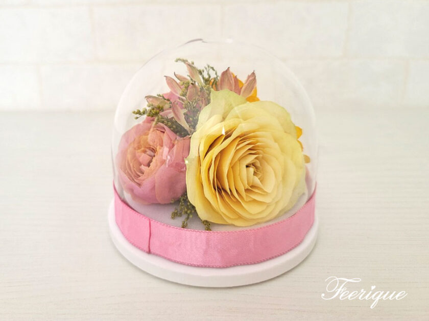 ヘミスフィアドーム