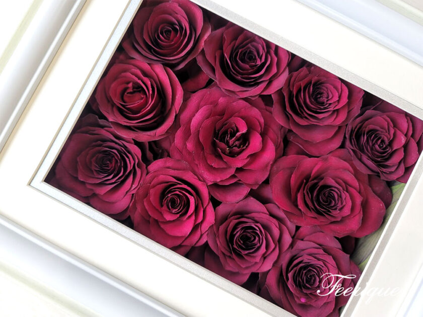 プリマフレーム